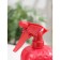 Pulverizer "Strawberry", 500 ml, red color