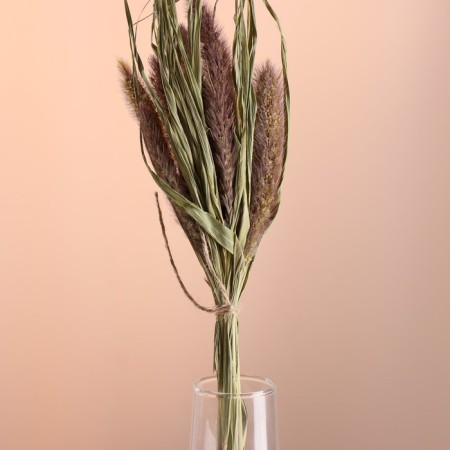 Set of dry flowers "Setaria", banch 7 pcs, length 60-65 (+/- 6 cm), natural-1