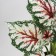 Bonsai "Begonia Extra" 9x27 cm, green