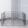 Animal aviary "Pigzon" 8 sections on clips 60 x 60 cm, Sh.p. 37-40 mm, folding, black