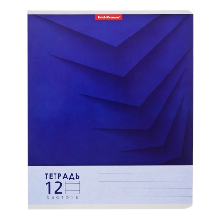 Notebook of 12 sheets in the Erichkrause "Duotone Next", the cover coated cardboard, an offset block 100% whiteness, mix-5