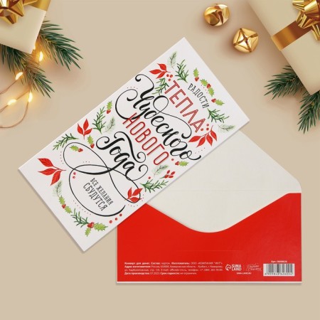 The envelope for the money "Wonderful New Year", font, 16.5 x 8 cm, New Year-1