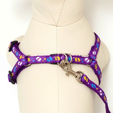 Set "Color Transes", leash 120 x 1 cm, fire 23-35 cm, purple-3