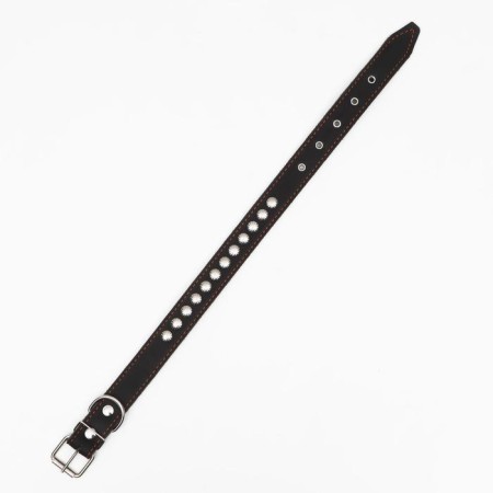 Collar combined leather/tarpaulin, 69 x 3.5 cm, decorated, Osh 45-60 cm, black-2