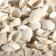 Set of shells, 2 - 3.5 cm, 100 g