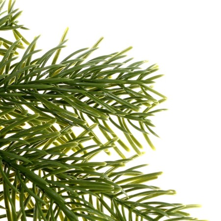 Decor "Branch of fragrant spruce"-1
