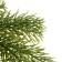 Decor "Branch of fragrant spruce"
