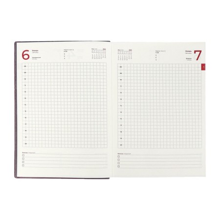 Dated 2025 diary, Escalada, A5+ 176 sheets, integral cover, artificial leather, foil embroidery, liesse, block 80 g/m2, brown-11