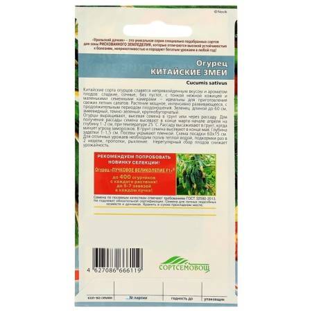 Seeds of the cucumber "Chinese snake", medium -lasting, bee -legged, 10 pcs-3