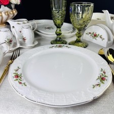 A set of lenardi plates 