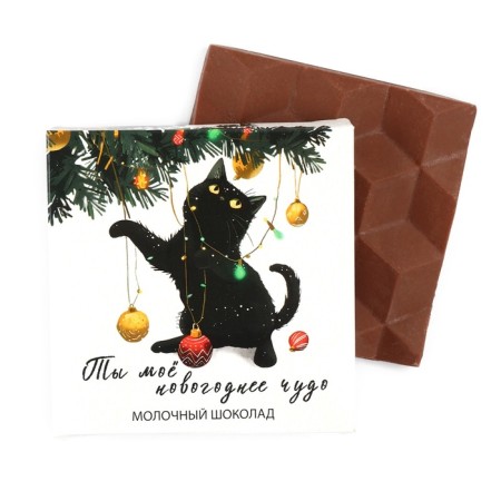 Chocolate in the box "My New Year's Miracle", 50 g