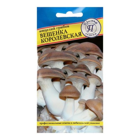 Mycelium mushrooms Royal, 12 pcs