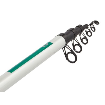 Salmo Blaster Telerod Set 5.0-2