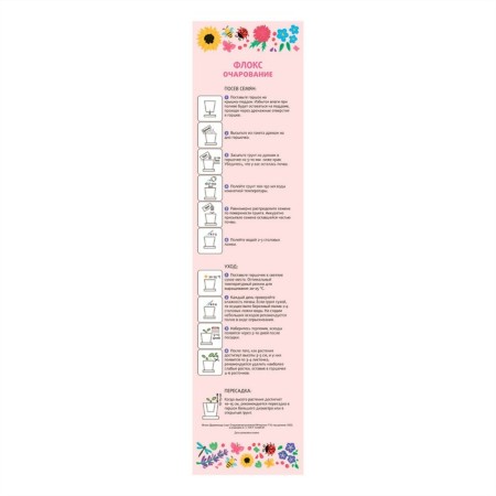 Set for creativity "Pot" Flox Charm "-3