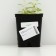 Colorbow peeling, P9 pot (readiness June), 1 pc, spring 2024