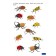 Speech therapy cards "Singleous words" 21 Card