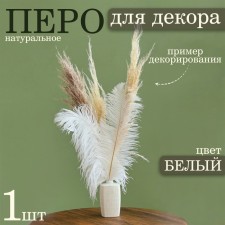 Feather for decor, length: from 45 to 60 cm, white color