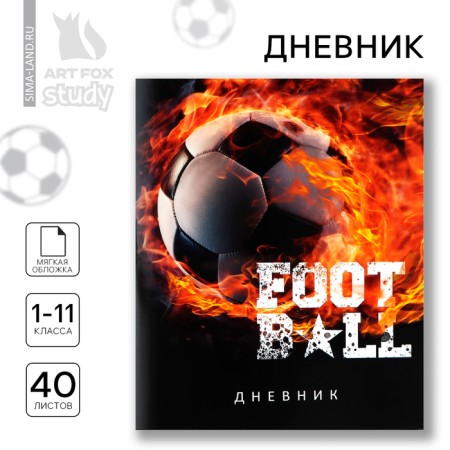 School diary 1-11 grade, in a soft cover, 40 l "September 1: Football"