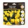 Tulip Triumph Strong Gold, rr 11/12, 5 pcs, autumn 2024