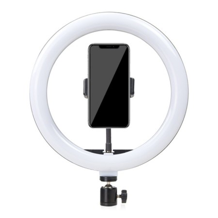 LED ring lamp Luazon CB-32, 10 "(26 cm), 10 W, 3 modes, works from USB-1