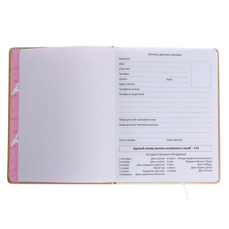 Universal diary for grade 1-11 Style Girl, hard cover, artificial leather, foam rubber, liesse, 80 g/m2-3