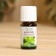 Essential oil "Basil" 10 ml Oleos