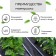 Mulching material, with perforation, 10 × 1.6 m, density 80 g/m², spanbond with a UV stabilizer, black, Greengo, economy 30%