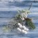 Decor "Winter Magic" needles leaves white berries, 24 cm