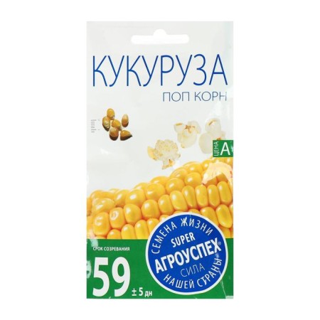 Corn seeds "Pop root", 5 g-1