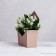 Trapection envelope is monophonic, beige 19.5 x 23 x 8 cm