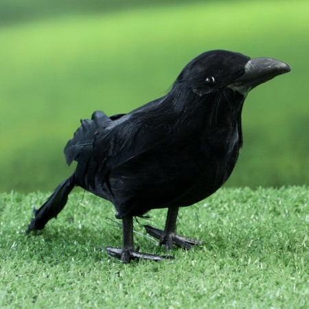 Figure "Raven" 20x6x10cm-1