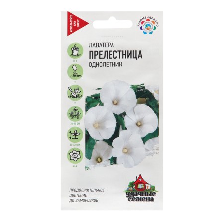 Lavater seeds "Kontalesnitsa", 0.3 g