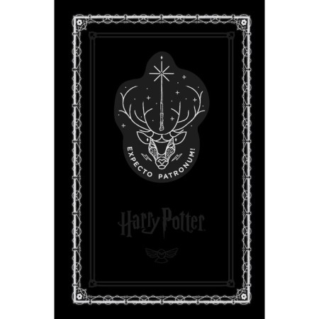 Notepad "Harry Potter. Expecto Patronum!", A5, 192 pages