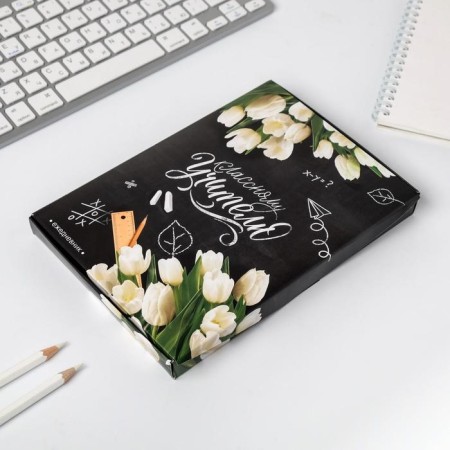 Diary in a gift box "Class teacher", A5 format, 80 sheets-8