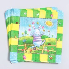 Paper napkins 