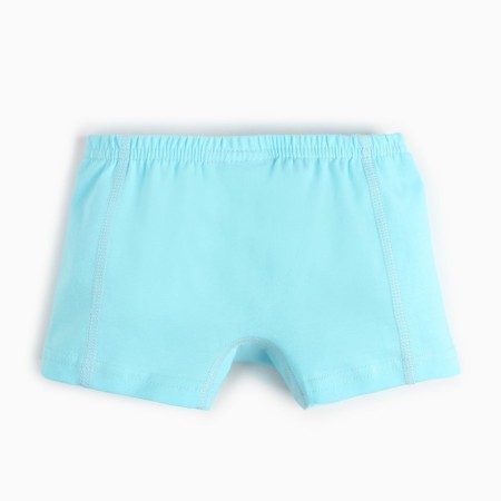 Panties for the boy Minaku boxers are blue, height 110-2