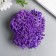Stamens for flowers "droplets bubble purple" 4x7 mm set 700 pcs length 6.5 cm