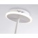 LED ceiling LED with a change of lamp and control panel Ambrella Light, Linetech, FL666221, G9, 29 W, 2175LUM, 3000-6400K, white, white matte color