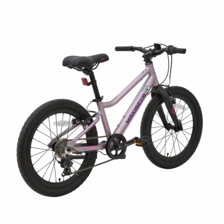 Bicycle 20 ’’ maxiscoo 5bike, pink sapphire color, size L-3