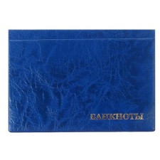 Album for Bon 125 x 185 mm Calligrata, 24 banknotes, covering artificial leather, blue