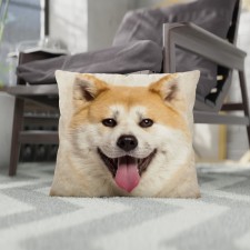 Decorative Ethel Pillow 