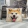 Decorative Ethel Pillow "Akita-Inu" 40x40 cm, Gabardin, 100% p/e
