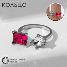 The ring 
