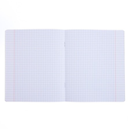 Notebook of 48 sheets in the Erichkrause "Fineline", Lamination Soft-Touch, OFSET BOCK 100%, mix-1