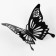 Set for decorating "Butterflies", set 12 pcs, black color