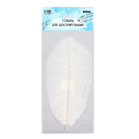 Feather for decor, size: 25-30 cm, white color-5