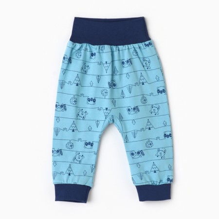 Children's sliders "Antoshka", blue/raccoon color, height 62