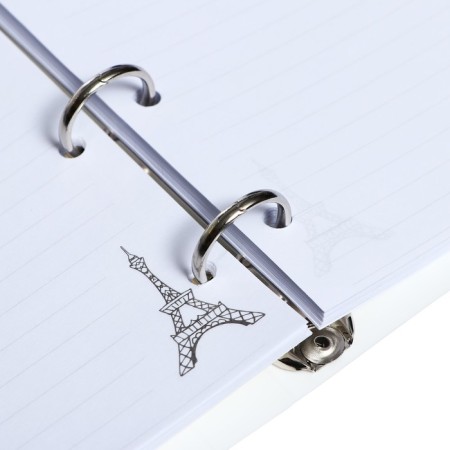 Notebook on rings, 80 sheets in the "fashionista" line, plastic cover, shift block 70 g/m2-5