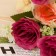 Bouquet "Rosa Nelly Assorted" 5x26 cm, mix
