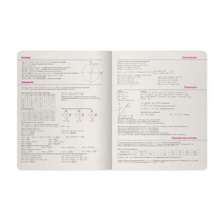 The subject of the "raspberry", 48 sheets in the algebra cage, cardboard cover, SoftTouch lamination-5